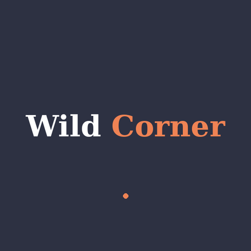 Wild Corner